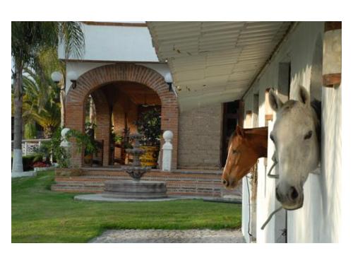 Caballerizas del jardín para boda