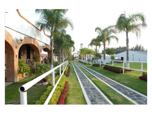 Pasillo de entrada al jardín