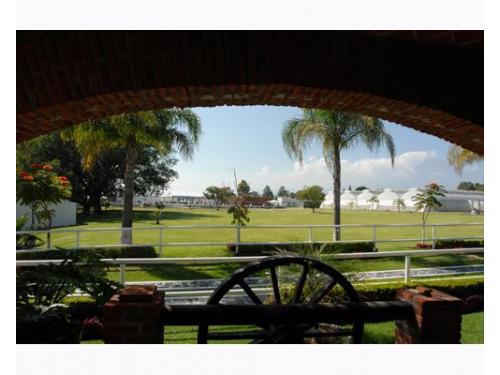 Vista del hermoso jardín