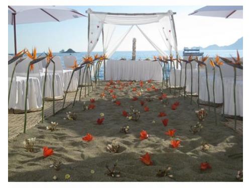 Camino decorado con flores