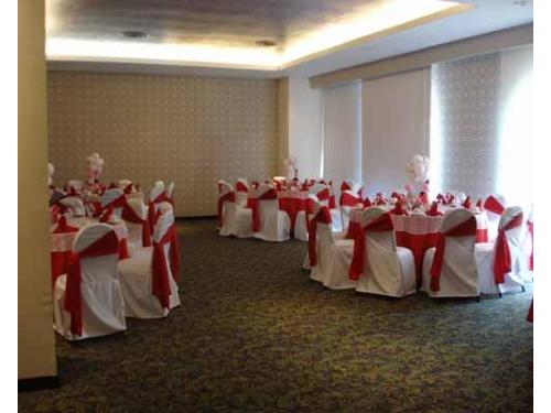 Panorama de organización