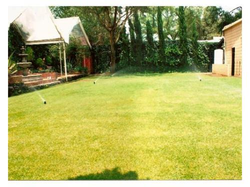 Amplia zona de jardin