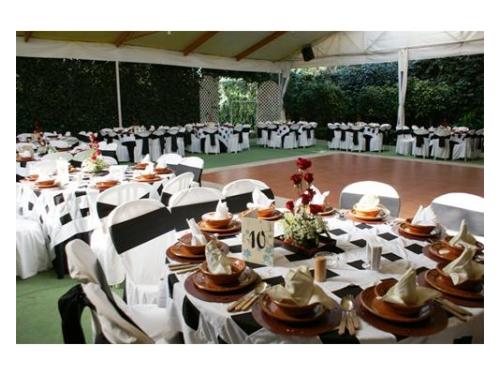 Celebra con todos tus seres queridos