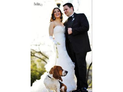 Todo para la belleza