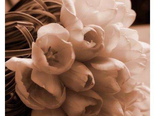 Fotografiando los detalles de tu boda