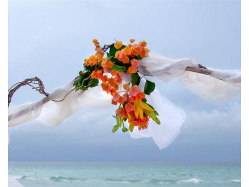 Su experiencia al servicio de tus sueños