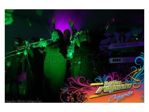 Músicos de primer nivel ambientando tu boda