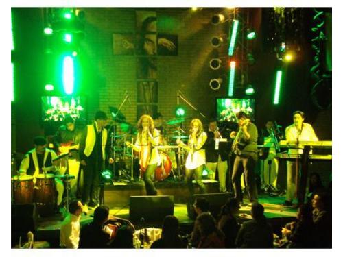 Músicos profesionales en tu boda