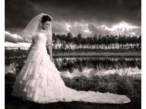 Foto Diseño Aguascalientes