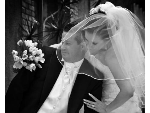 Foto Diseño Aguascalientes