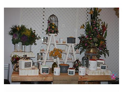 Calidad y gran estilo