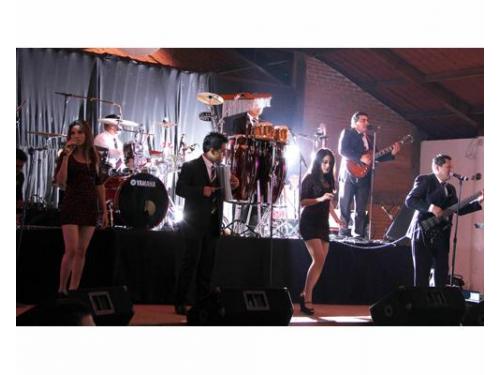 Grupo musical edición limitada