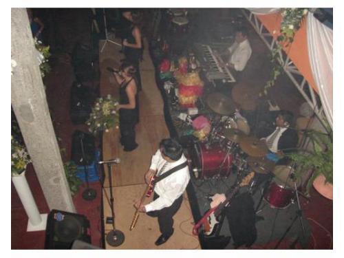 Animadores profesionales