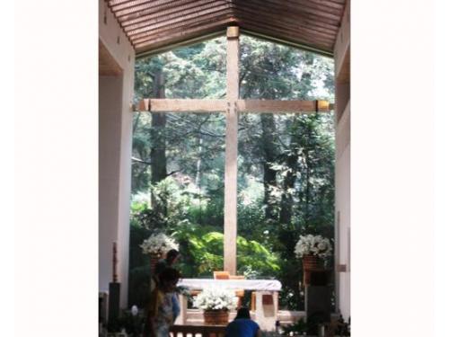 San francisco de asís