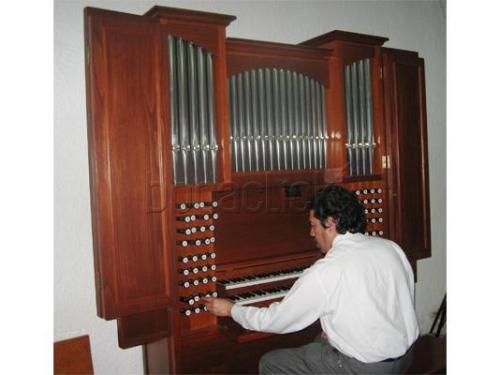 Organo en ceremonia