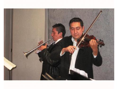 Tocando los violines