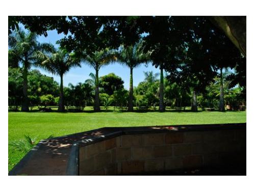 Jardín para tu boda