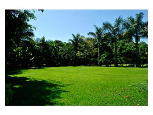 Jardín para tu boda