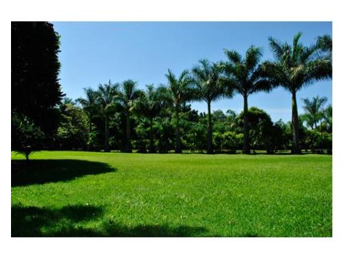 Jardín para tu boda