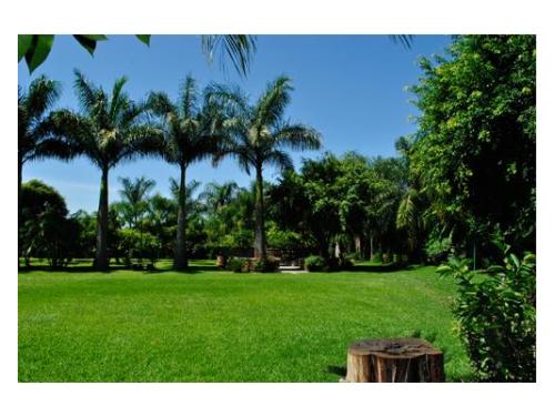 Jardín para tu boda