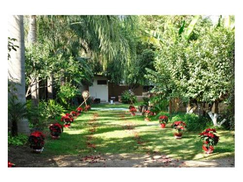 Jardín para tu boda