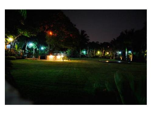 Hermosas celebraciones