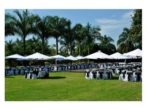 Elegancia en tu boda