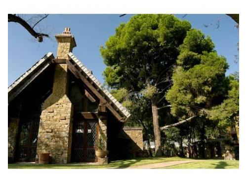 Cabaña junto al árbol