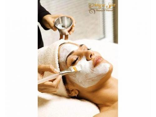 Los mejores proveedores