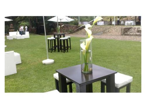 Hermosos centros con alcatraces