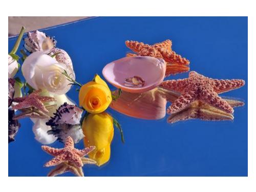 Detalle perfectos para tus mesas