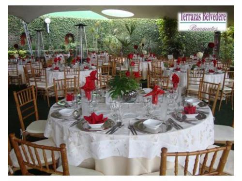 Montaje en jardín para bodas