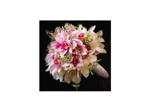 Elegantes presentación