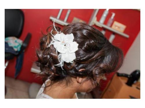 Actualización y tendencia