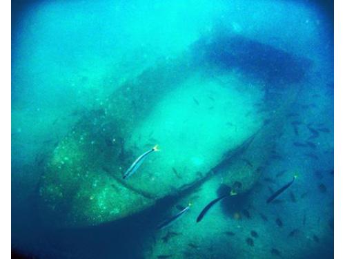 Fotografía bajo el agua