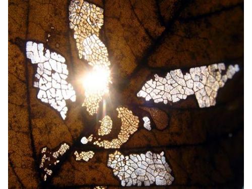 Una mirada diferente