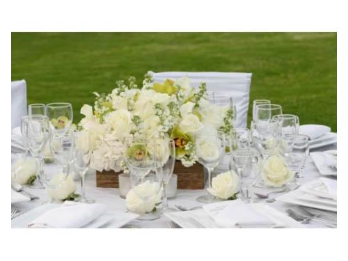 Flores y arreglos llenos de vida