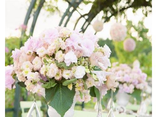 Tu boda lucirá maravillosa