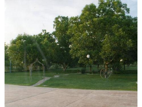 Jardines amplios y hermosos