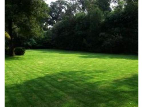 Un lugar lleno de naturaleza