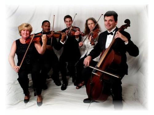 Músicos profesionales